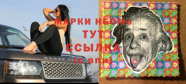 крисы Алексин