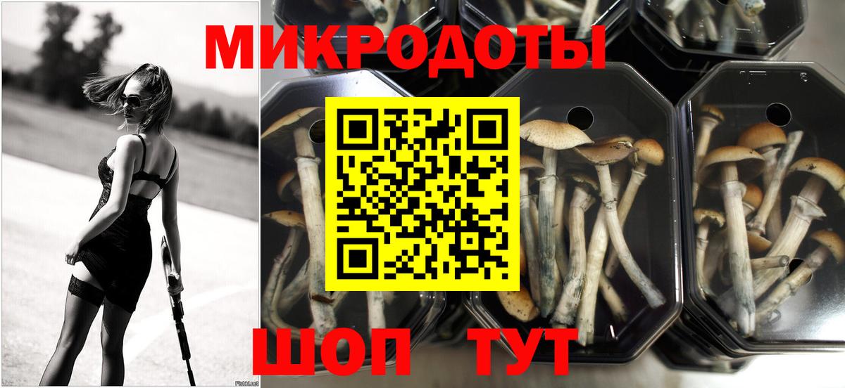 Псилоцибиновые грибы мицелий Петровск
